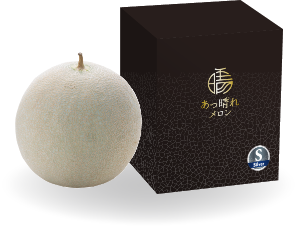 シルバードアイコン